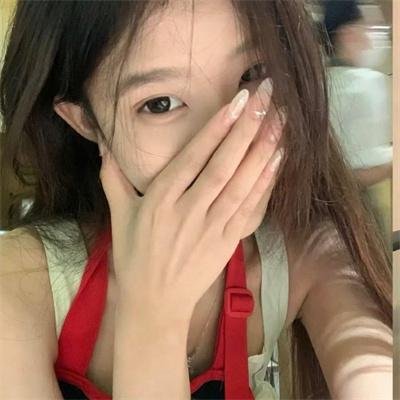 树袋熊